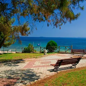 Pine Forest View Apartament